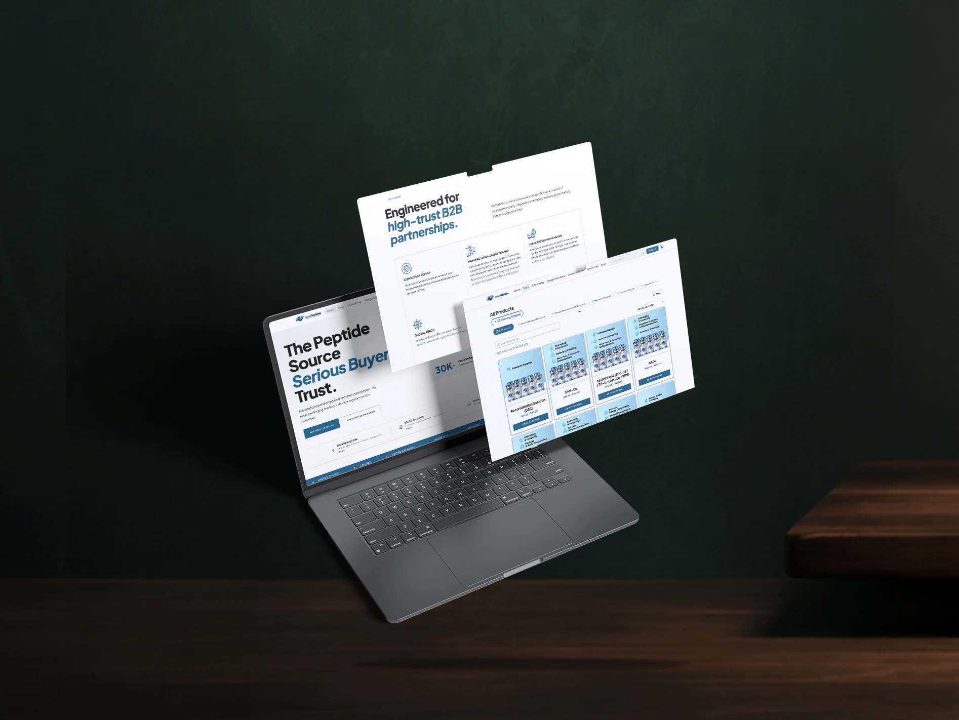 Business growth systems developed by Hatana Marketing, showcasing e-commerce strategy, affiliate infrastructure, and scalable digital solutions.